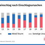 Insektenschäden für 81 % des Schadholzeinschlags in deutschen Wäldern verantwortlich destatis_holz